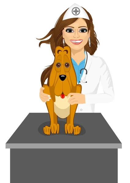 Bloodhound sitting on table visiting veterinarian — Stock Vector