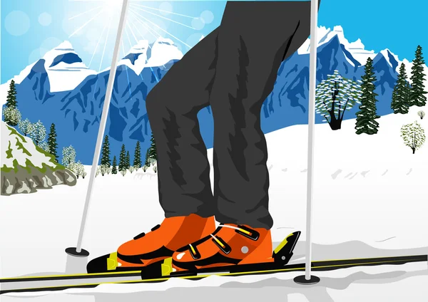 Ski alacsony szög közelről — Stock Vector