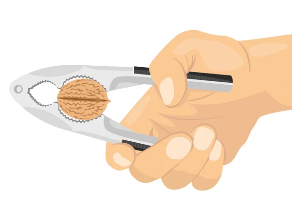 Рука с помощью орешка, чтобы сломать орех — стоковый вектор