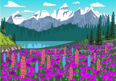 Delphinium ve orman gülleri Alpleri'nde Alpin çayır