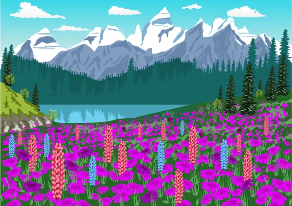 Pradera alpina con delfinio y rododendros en los Alpes — Vector de stock