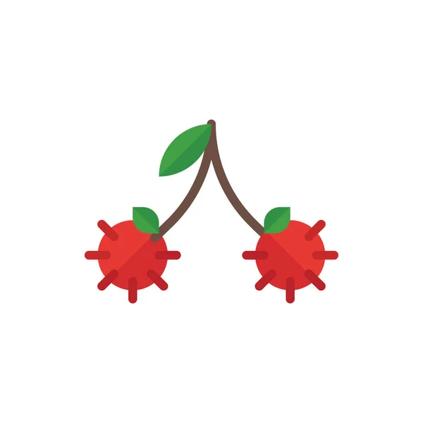 Rambutan Flat Icon Logo Ilustración Vector Aislado Set Iconos Frutas — Archivo Imágenes Vectoriales