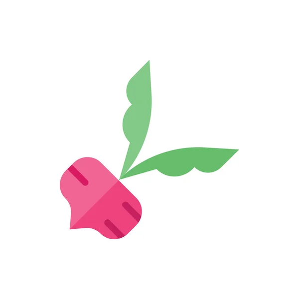 Turp, pancar, pancar kökü düz simge logosu çizim vektörü izole edildi. Çin Gıda ve Restoran Simgesi. Web Tasarımı, Logo, Uygulama ve İşinizi Geliştirmek İçin Uygun.