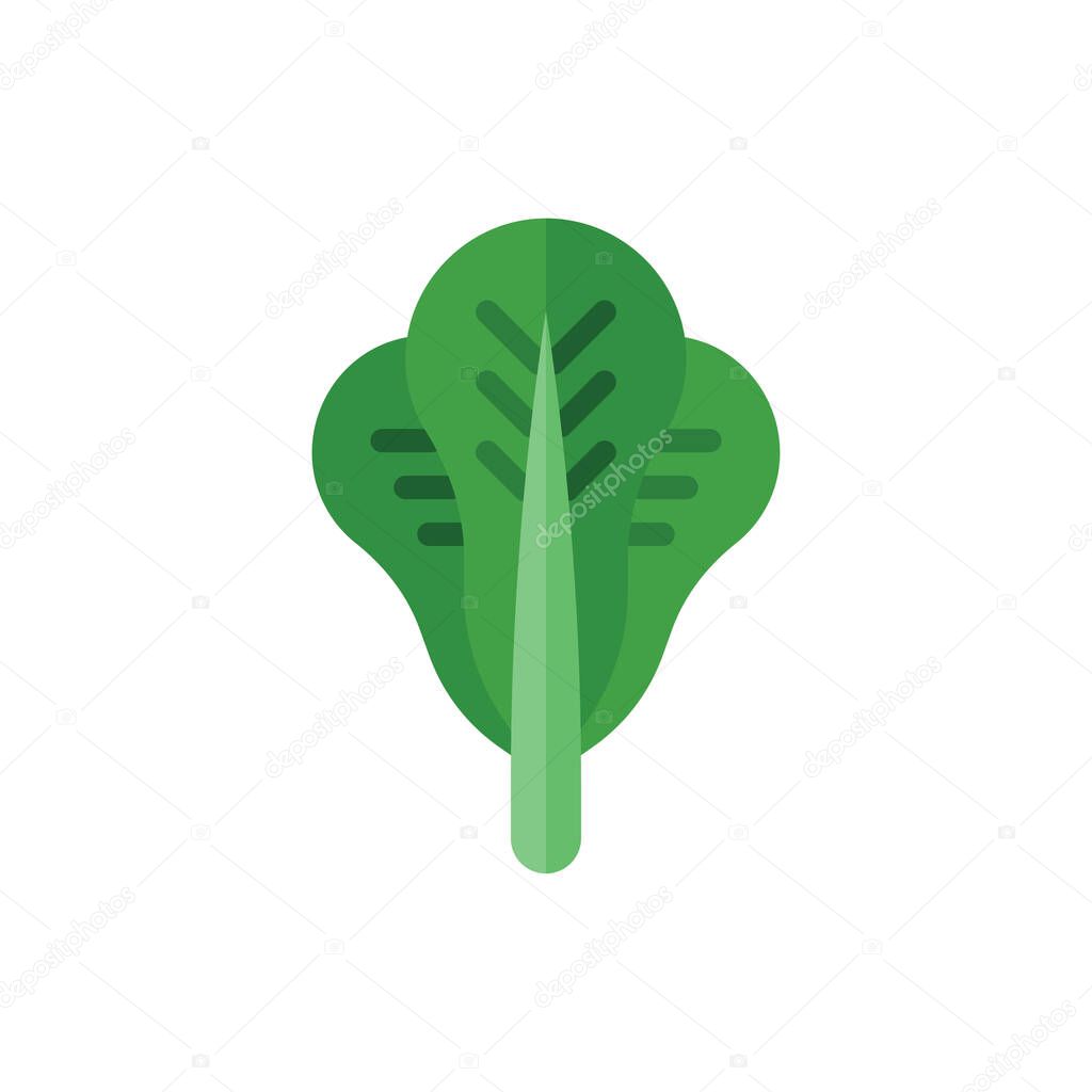 Lettuce Flat Icon Logo Illustration Vector Isolated. Chinese Food and Restaurant Icon-Set. Suitable for Web Design, Logo, App, and Upscale Your Business.