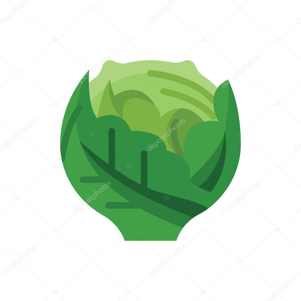 Cabbage Flat Icon Logo Illustration Vector Isolated. Chinese Food and Restaurant Icon-Set. Suitable for Web Design, Logo, App, and Upscale Your Business.