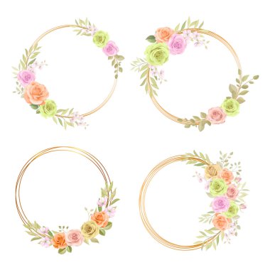 Gül ve okaliptüs yapraklı çiçek çerçevesi koleksiyonu