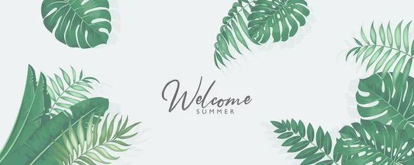 Design Banner Verão Minimalista Com Tema Folhas Tropicais — Vetor de Stock