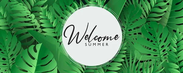 Zomer Banner Sjabloon Voor Reclame Zomer Aankomsten Collectie Seizoensgebonden Verkoop — Stockvector