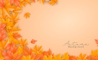 Güzel sonbahar yaprakları arka plan