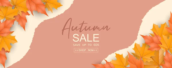 Abstract Autumn Sale Banner Autumn Leaves Background — Stock Vector