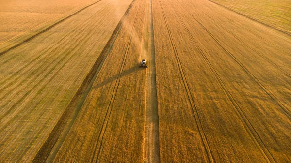 Cosechadora elimina el trigo en el campo — Foto de Stock