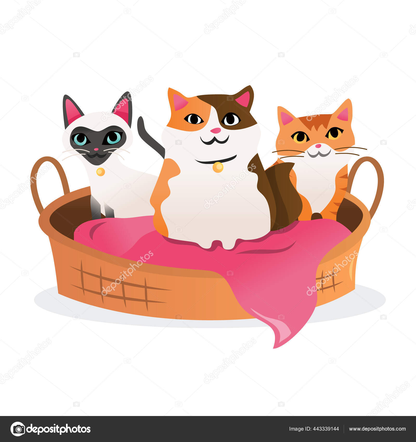 Sebuah Gambar Vektor Kartun Dari Tiga Kucing Lucu Tempat Tidur Stok Vektor Totallyjamie 443339144