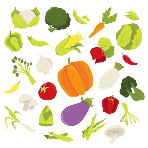 Fresh Organic Vegetables — Stock Vector