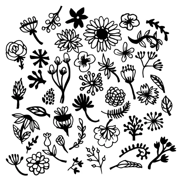 Follaje botánico dibujado a mano — Vector de stock