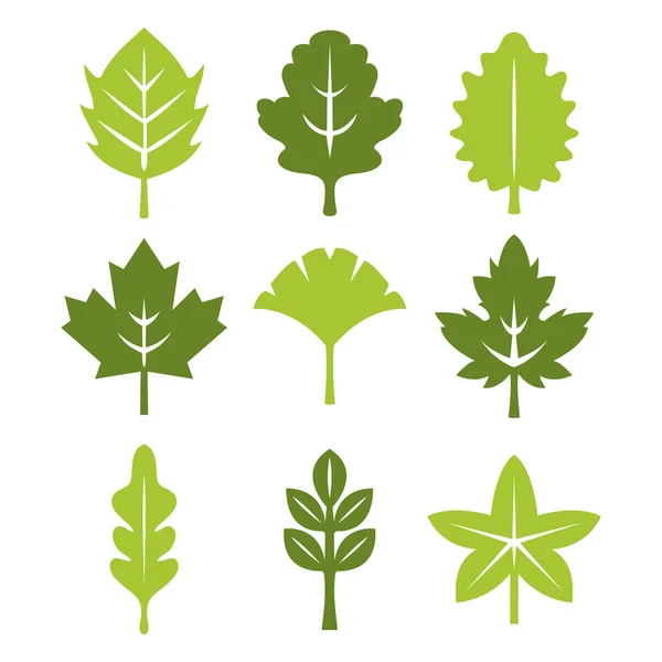 Symmetric Leaf Silhouette Set — Stock Vector