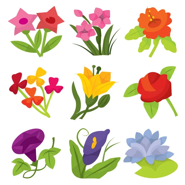 Blommor samling — Stock vektor
