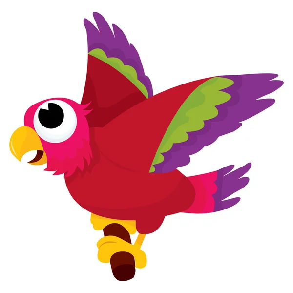 Cartoon Parrot — Stock Vector