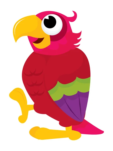 Cartoon Parrot — Stock Vector