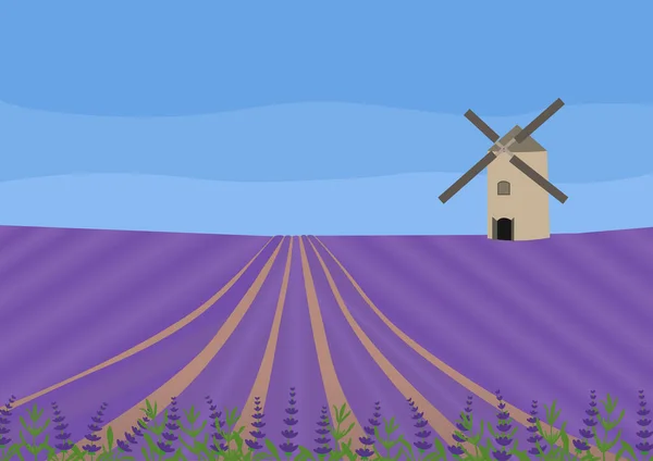 Campo de lavanda con molino de viento. Concepto vector ilustración. — Archivo Imágenes Vectoriales