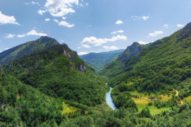 Tara Nehri. Karadağ 'da yaz.