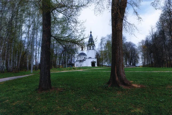 Région Ivanovo Forêt Sur Fond Volga Rivière Hauteur Montagne Cathédrale — Photo