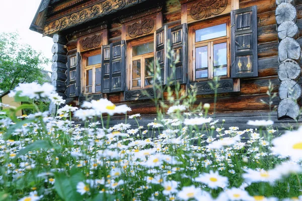 Suzdal Russia 2021 Casa Legno Con Margherite Fiore — Foto Stock