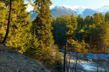 Dağ nehrine bakan sabah. Azau.