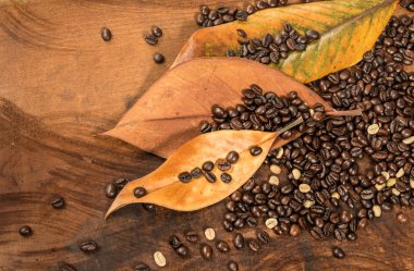 Coffee beans with dry leaves of magnolia placed on wooden table.