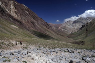 Atlar Dağ Yolu 'nu geçiyor. Dağlardaki görkemli atlar, dağlık yaşam alanlarındaki bu muhteşem yaratıkların doğal güzelliklerini vurgulamak için bir patika boyunca seyahat ederler.