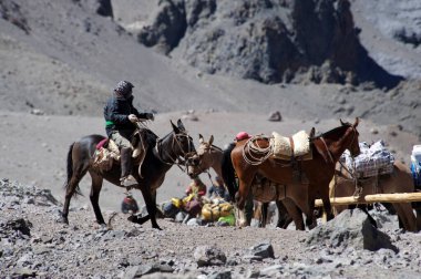 Yüklü atlar dağlık bölgedeki kamptan ayrılmaya başlıyor. Atlar kışın dağlardaki kamptan ayrılmaya hazırlanıyorlar..