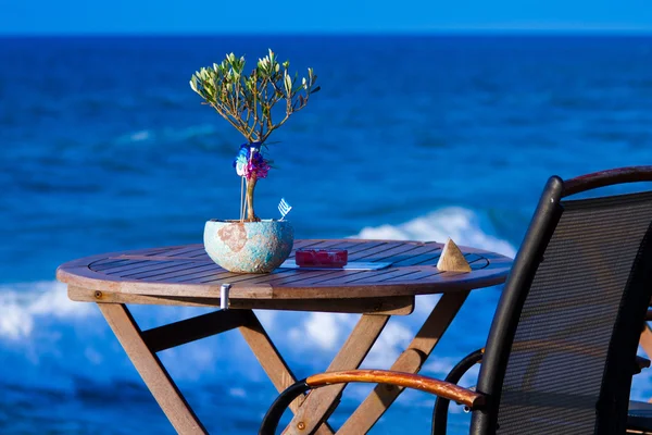 Little olive tree on the table against the sea — Stock Photo, Image
