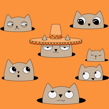 Sobrero kedi
