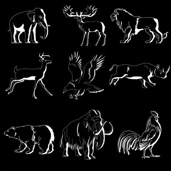 Коллекция векторов животных зоопарка — стоковый вектор