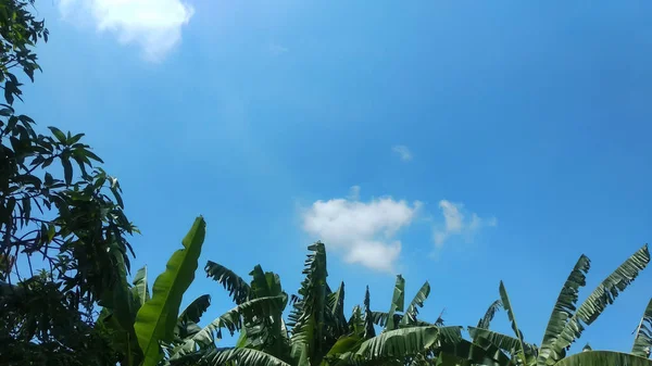 Het Uitzicht Blauwe Lucht Witte Wolken — Stockfoto