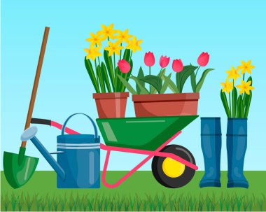 Bahçe aletleriyle bahar manzarası. Arka bahçesinde kürek ve bahçe botları, su kovası, arka planda tekeri ve enstrümanı olan bir bahçe. Saksıda çiçekler, laleler, nergisler, yeşil çimenler. Vektör.