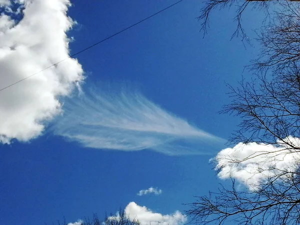 Een Pluizige Wolk Tussen Cumulus Bewolking Een Blauwe Lucht — Stockfoto