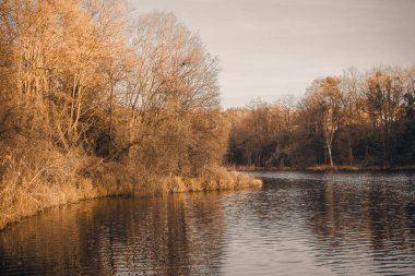 Manzara. Sudaki ağaçların yansıması. Manzara. Mavi gölün derin suları kış ormanlarıyla çevrilidir. Suyun üzerindeki ağaçlar