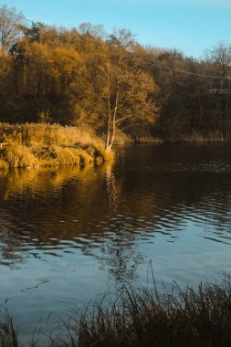 Sudaki ağaçların yansıması. Manzara. Mavi gölün derin suları kış ormanlarıyla çevrilidir. Suyun üzerindeki ağaçlar