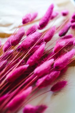 Pembe renkli dekoratif çiçekler beyaz arka planda yatar.