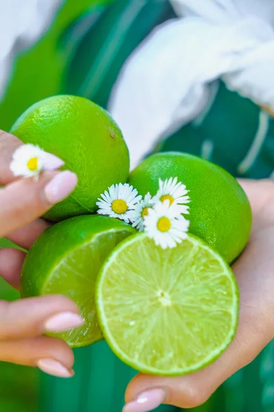 Green Lime Chamomile Flowers Hand — Stock Photo, Image