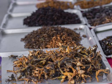 Pazarda satılık haşlanmış böcekler..