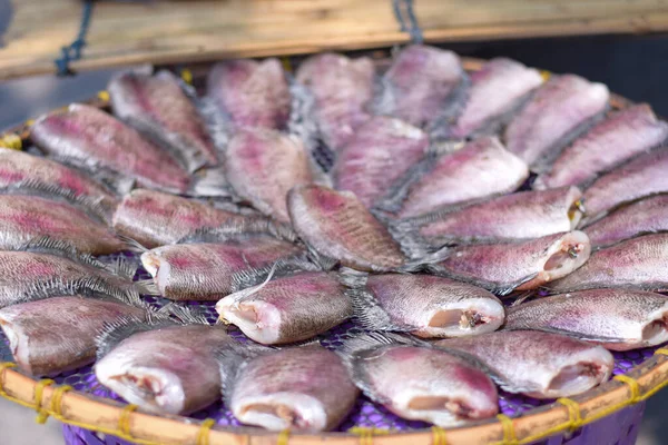 Gourami balığı satmak için bambu kabına konmuş..