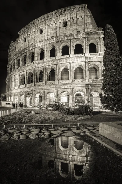 Coliseum