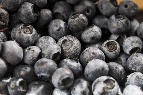 yaban mersini kapatmak