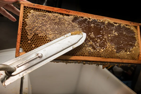 Bal serbest bırakmak için balmumu bir arıcı kaldırır