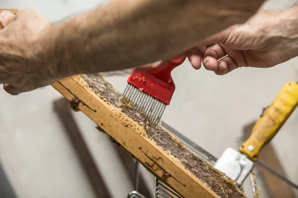 a beekeeper removes the beeswax to release the honey