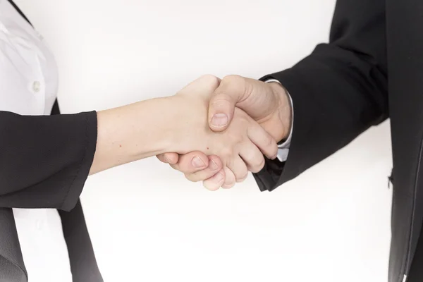 estabilish bir sözleşme için el sıkışma