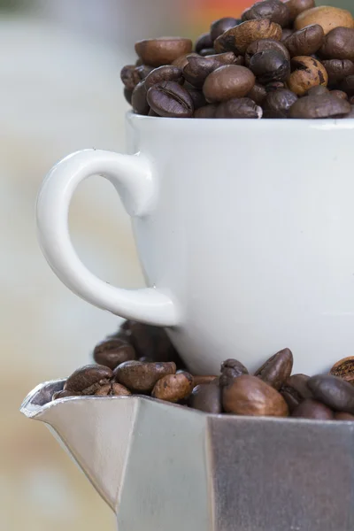 Моча и чашка с кофейными бобами — стоковое фото