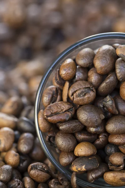 Copos cheios de grãos de café em grãos de café — Fotografia de Stock