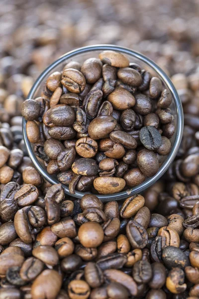 Copos cheios de grãos de café em grãos de café — Fotografia de Stock